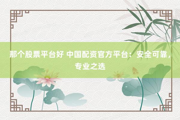 那个股票平台好 中国配资官方平台：安全可靠，专业之选