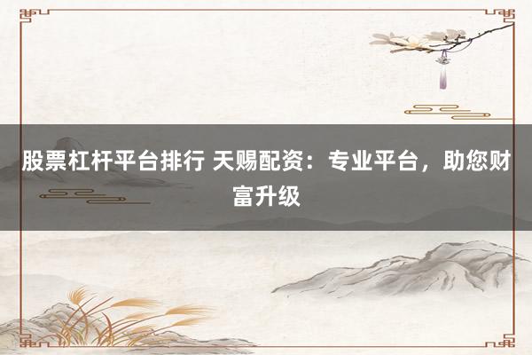 股票杠杆平台排行 天赐配资：专业平台，助您财富升级