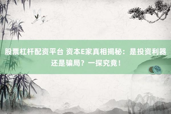 股票杠杆配资平台 资本E家真相揭秘：是投资利器还是骗局？一探究竟！