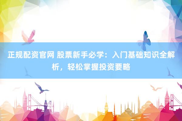 正规配资官网 股票新手必学：入门基础知识全解析，轻松掌握投资要略