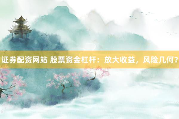 证券配资网站 股票资金杠杆：放大收益，风险几何？