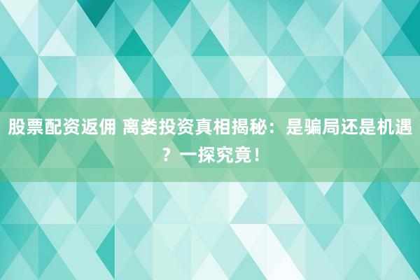 股票配资返佣 离娄投资真相揭秘：是骗局还是机遇？一探究竟！