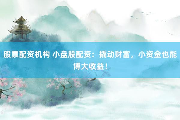 股票配资机构 小盘股配资：撬动财富，小资金也能博大收益！