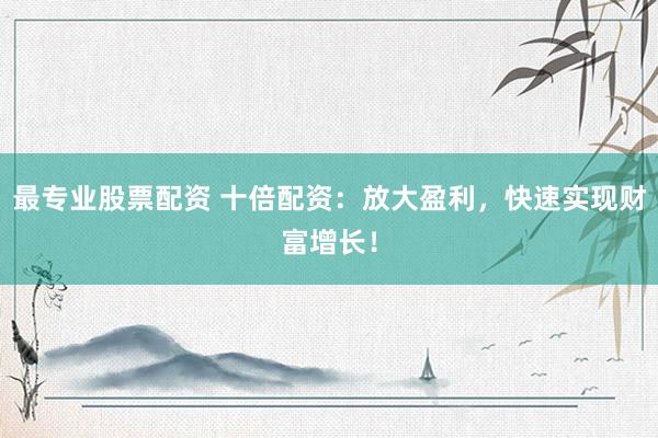 最专业股票配资 十倍配资：放大盈利，快速实现财富增长！