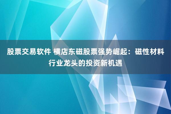 股票交易软件 横店东磁股票强势崛起：磁性材料行业龙头的投资新机遇