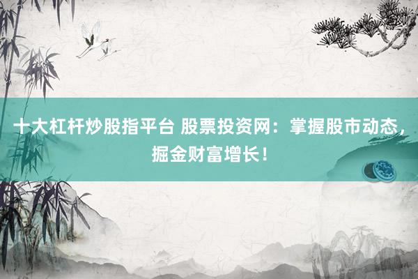 十大杠杆炒股指平台 股票投资网:掌握股市动态,掘金财富增长!
