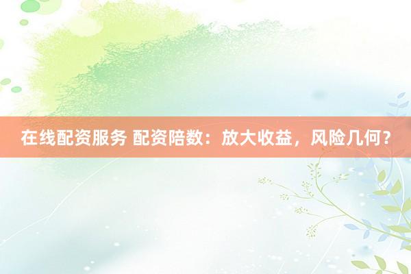 在线配资服务 配资陪数：放大收益，风险几何？