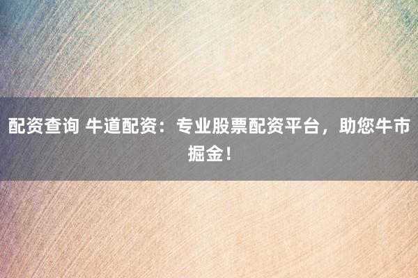 配资查询 牛道配资：专业股票配资平台，助您牛市掘金！