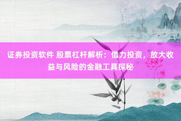 证券投资软件 股票杠杆解析：借力投资，放大收益与风险的金融工具探秘
