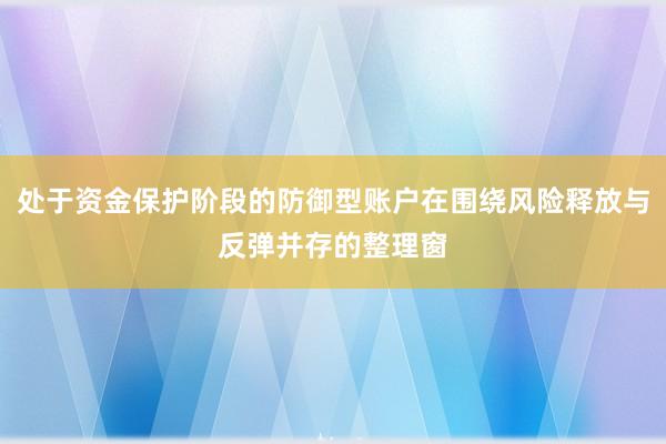 处于资金保护阶段的防御型账户在围绕风险释放与反弹并存的整理窗