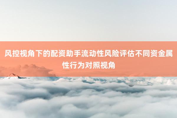风控视角下的配资助手流动性风险评估不同资金属性行为对照视角
