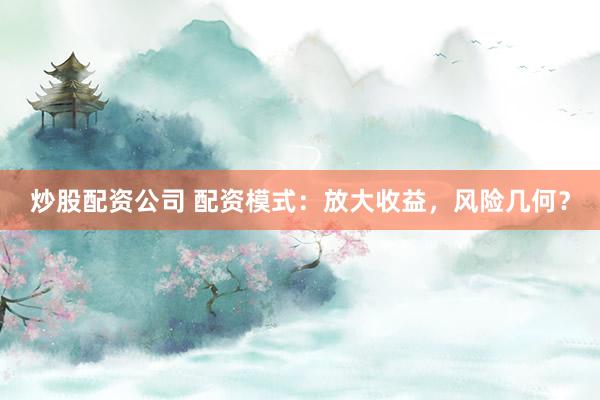 炒股配资公司 配资模式：放大收益，风险几何？